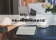 天美mv麻花mv的简单介绍